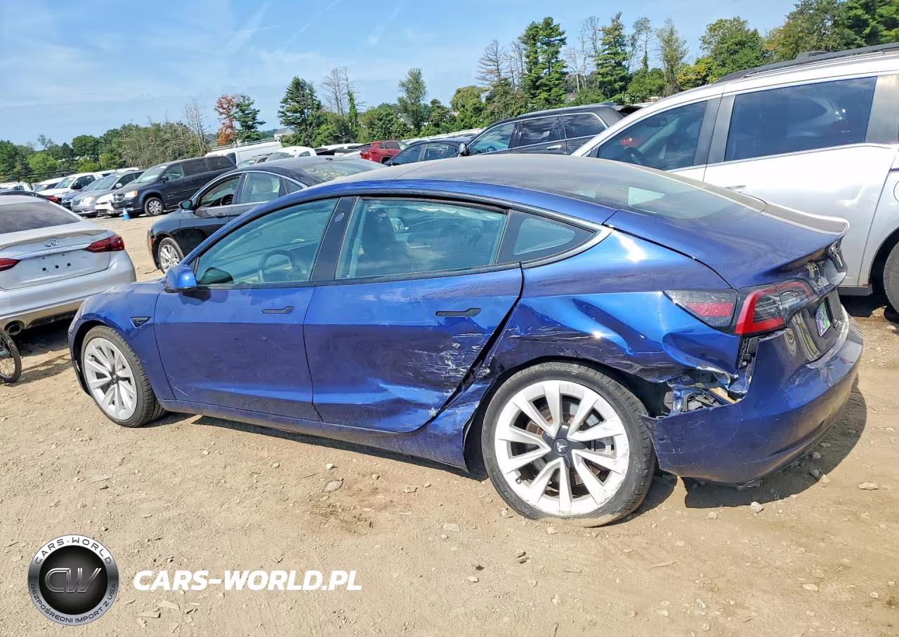 2022 Tesla Model 3 VIN:5YJ3E1EA5NF291125 - 2