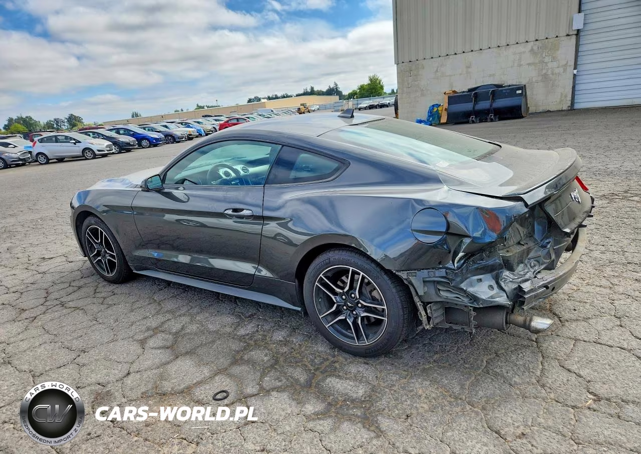 2020 Ford Mustang VIN:1FA6P8TH7L5173534 - 2