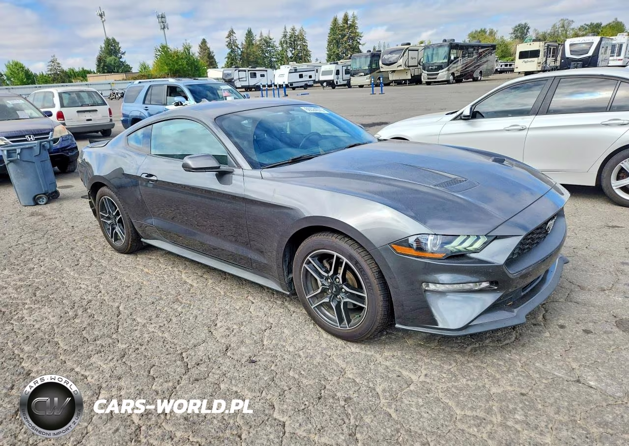 2020 Ford Mustang VIN:1FA6P8TH7L5173534 - 4