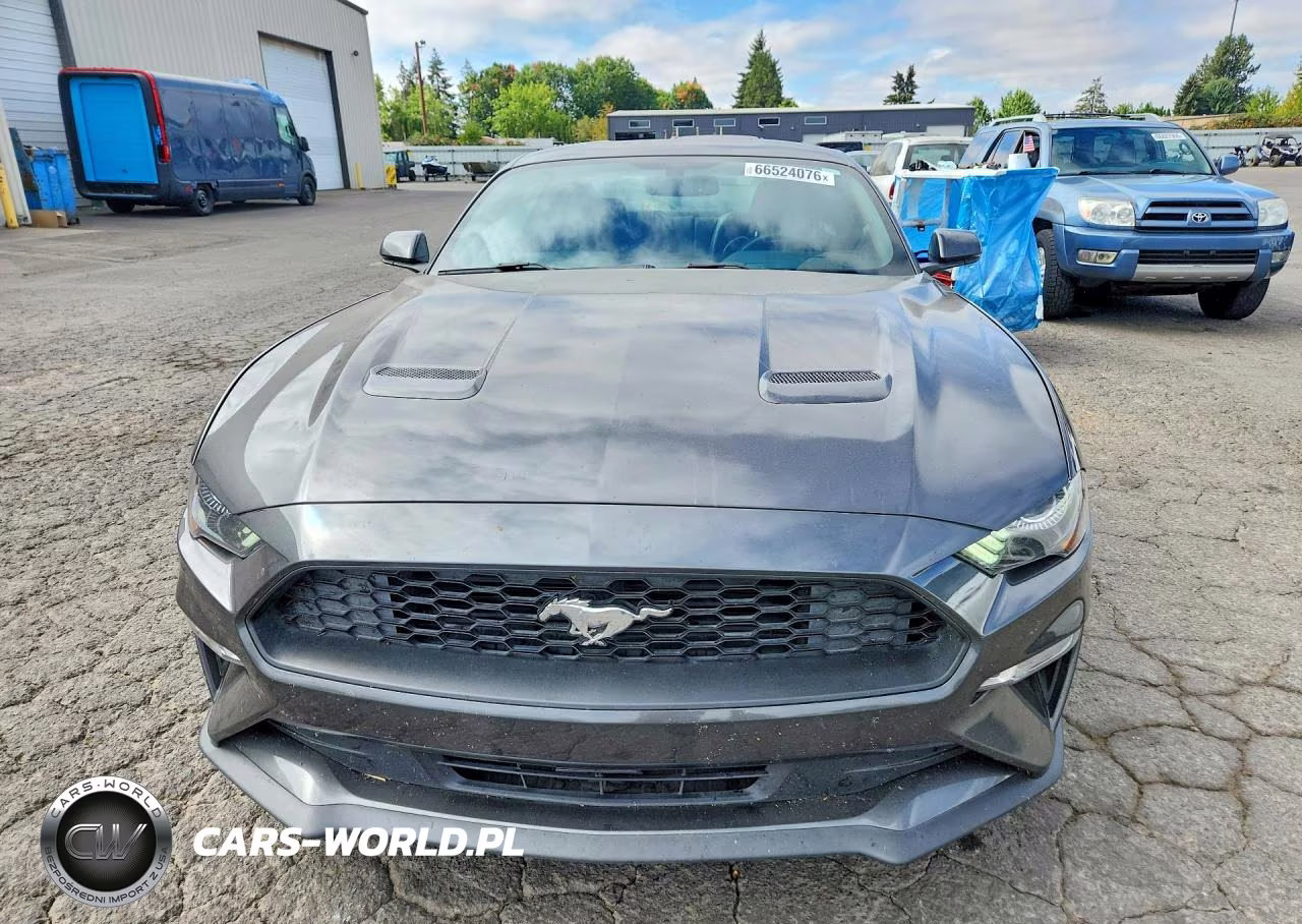 2020 Ford Mustang VIN:1FA6P8TH7L5173534 - 5