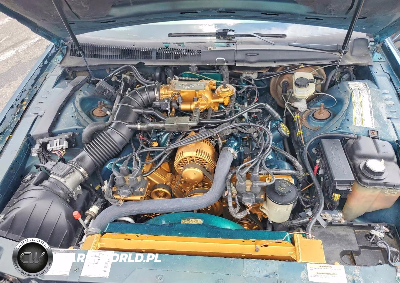 1995 Ford Thunderbird Lx VIN:1FALP62W4SH117300 - 11