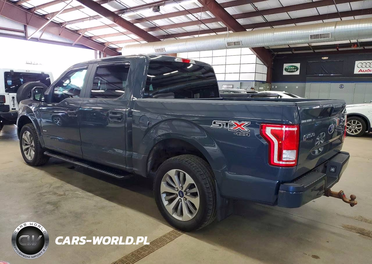 2017 Ford F150 Supercrew VIN:1FTEW1EP8HFA69169 - 2