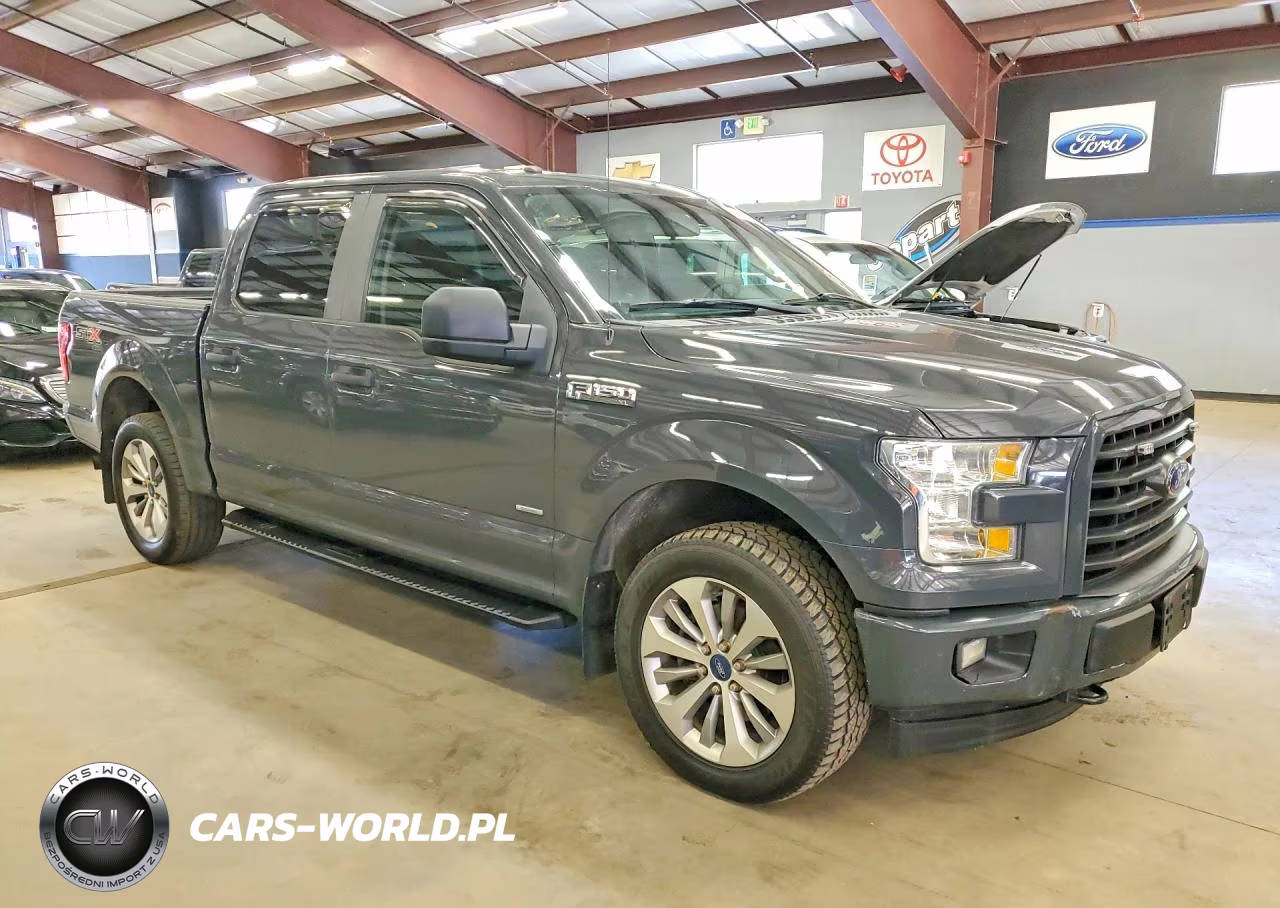 2017 Ford F150 Supercrew VIN:1FTEW1EP8HFA69169 - 4