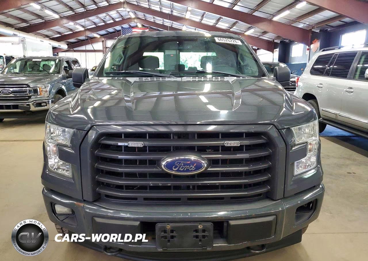 2017 Ford F150 Supercrew VIN:1FTEW1EP8HFA69169 - 5