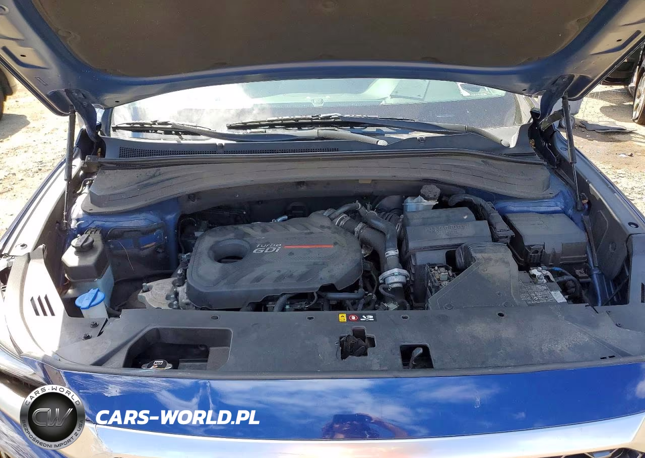 2020 Hyundai Santa Fe Sel 2.0T VIN:5NMS3CAA5LH294492 - 12
