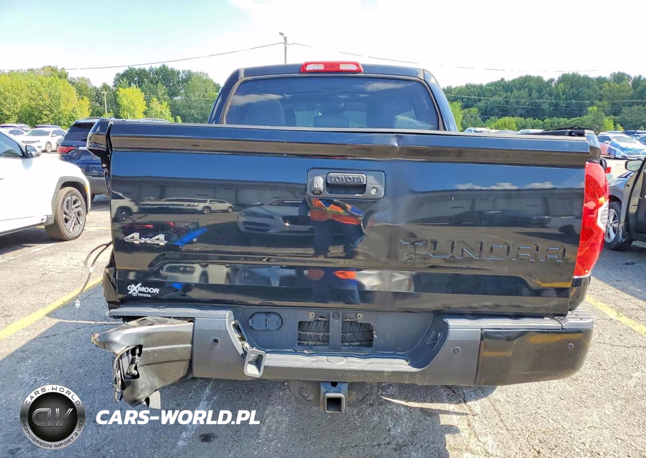 2018 Toyota Tundra Crewmax Limited VIN:5TFHW5F18JX706253 - 6