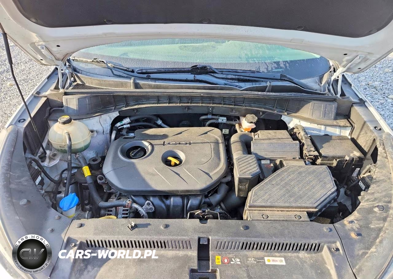 2019 Hyundai Tucson Se VIN:KM8J2CA48KU889123 - 12