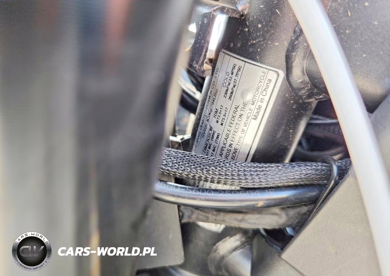 2026 Cf Moto 675Ss VIN:LCEPEVLP6T6001631 - 9