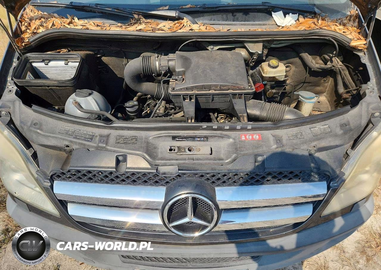 2011 Mercedes-Benz Sprinter VIN:WDZPE7CC3B5571311 - 12