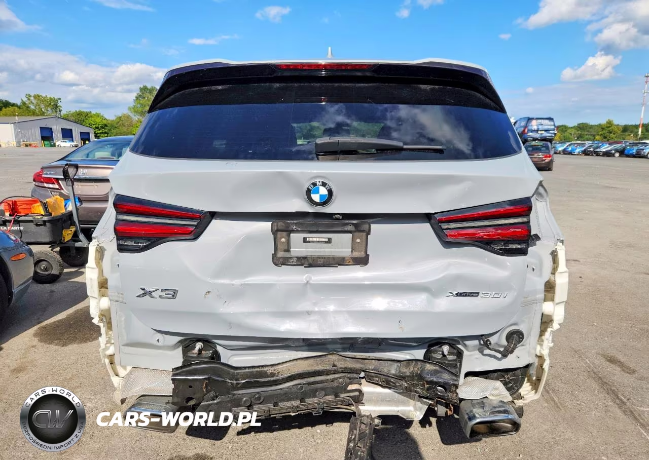 2022 BMW X3 xDrive30I VIN:5UX53DP01N9N42459 - 6