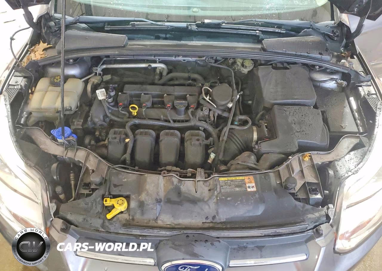 2014 Ford Focus Se VIN:1FADP3K25EL262069 - 11
