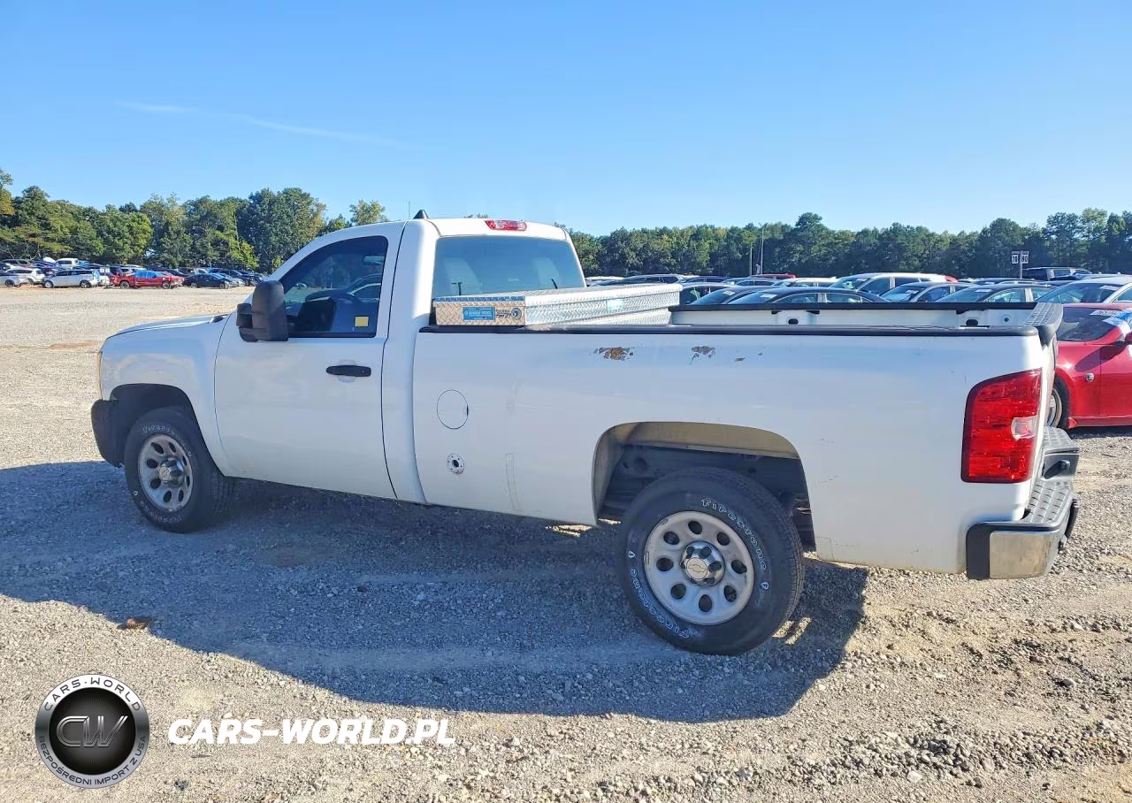 2013 Chevrolet Silverado C1500 VIN:1GCNCPEX6DZ900219 - 2