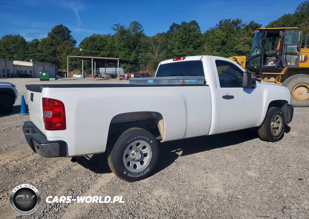 2013 Chevrolet Silverado C1500 VIN:1GCNCPEX6DZ900219 - 3