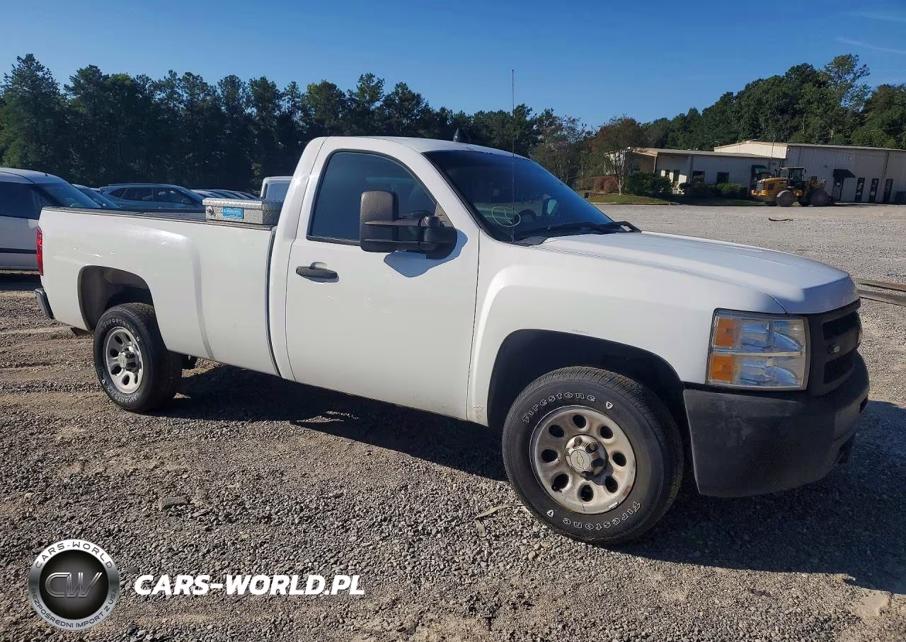 2013 Chevrolet Silverado C1500 VIN:1GCNCPEX6DZ900219 - 4