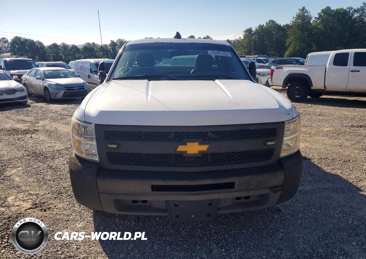 2013 Chevrolet Silverado C1500 VIN:1GCNCPEX6DZ900219 - 5