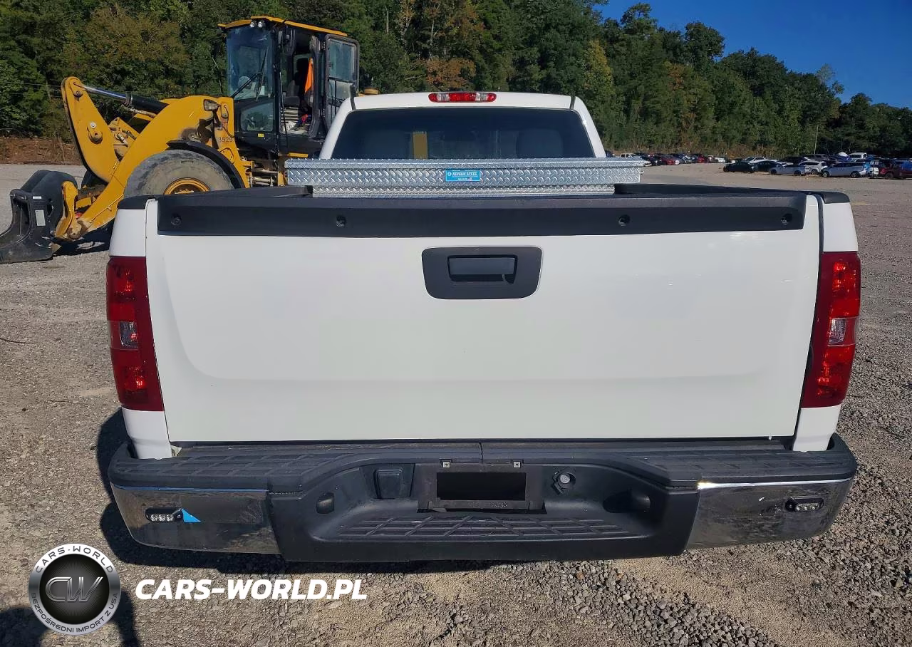 2013 Chevrolet Silverado C1500 VIN:1GCNCPEX6DZ900219 - 6
