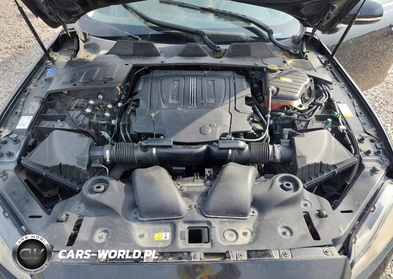 2019 Jaguar Xjl Portfolio VIN:SAJWA2G7XK8W17532 - 11