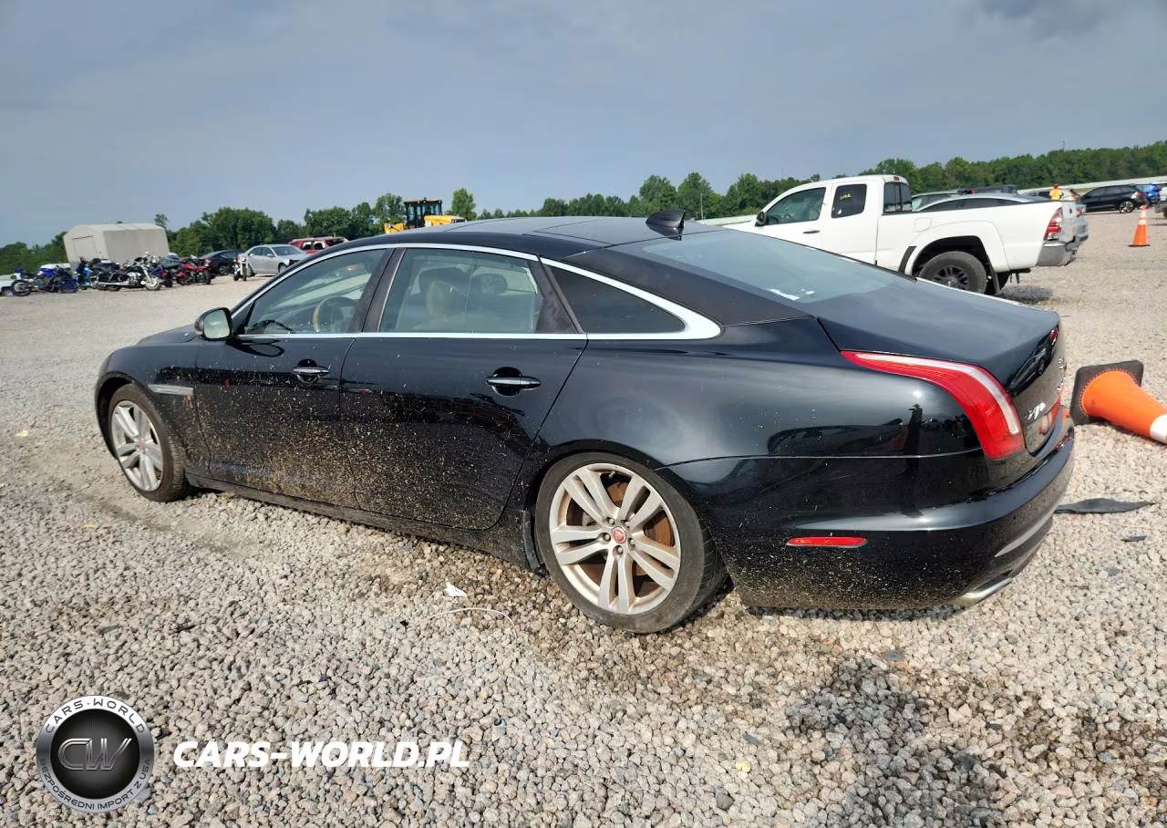 2019 Jaguar Xjl Portfolio VIN:SAJWA2G7XK8W17532 - 2