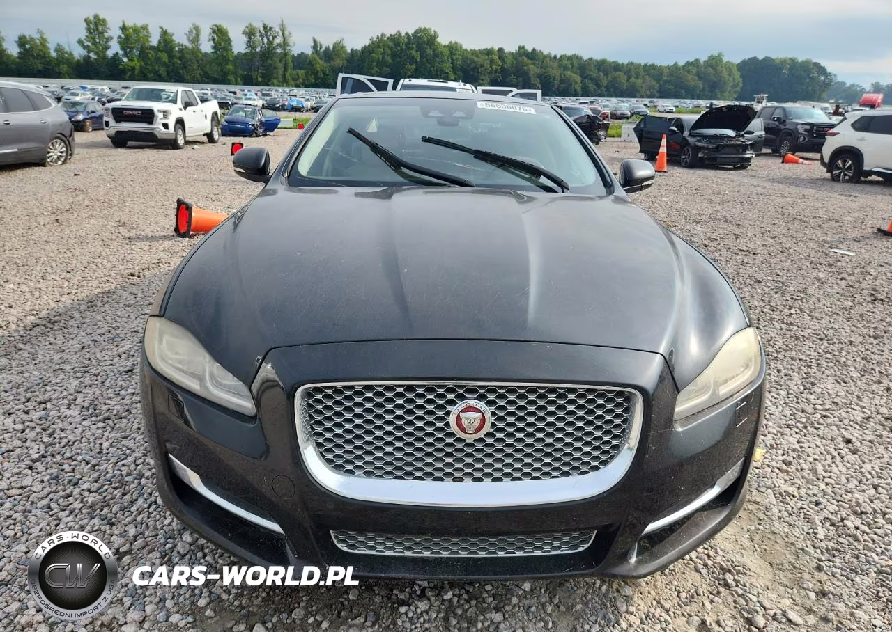 2019 Jaguar Xjl Portfolio VIN:SAJWA2G7XK8W17532 - 5