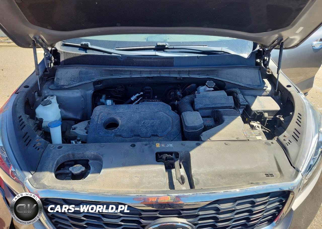 2019 Kia Sorento L VIN:5XYPG4A30KG541573 - 12