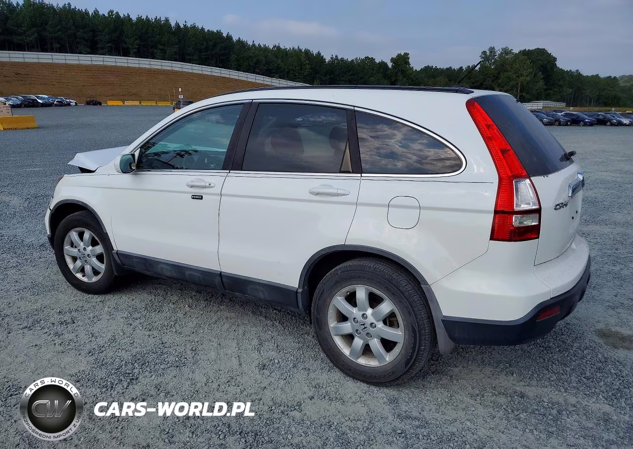 2009 Honda Cr-V Exl VIN:5J6RE38799L003884 - 2