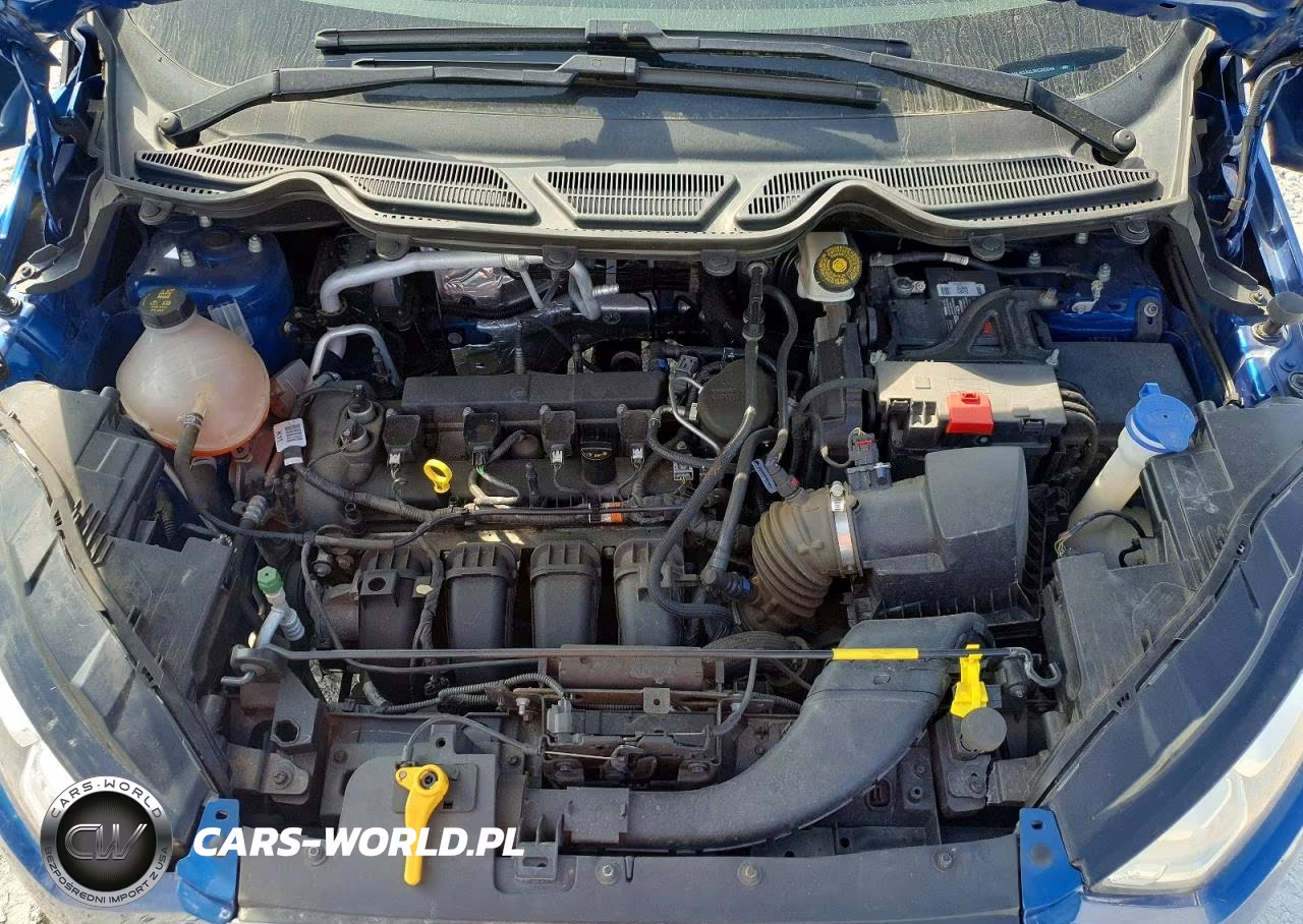 2019 Ford Ecosport Se VIN:MAJ6S3GL3KC293244 - 12