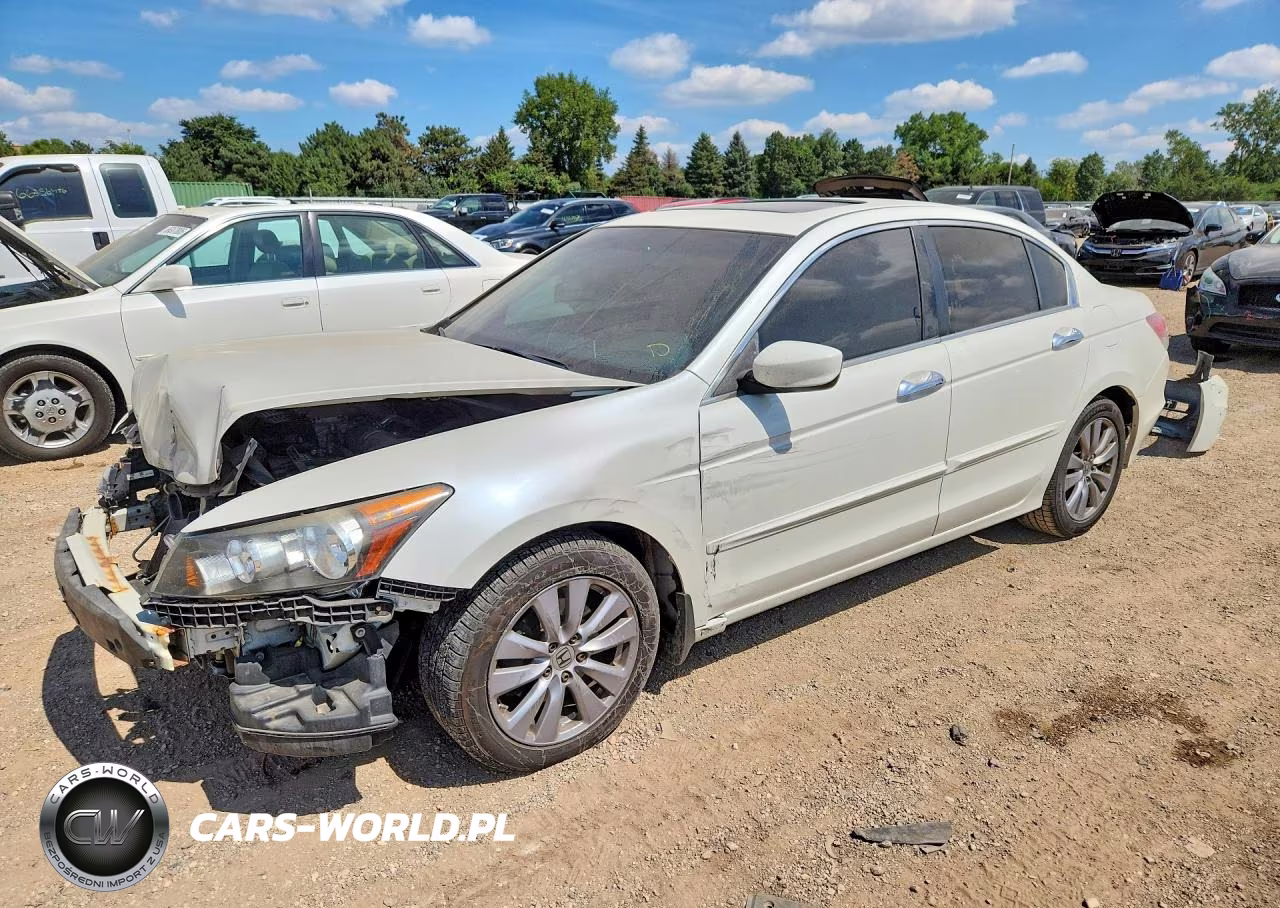 2011 Honda Accord Exl VIN:1HGCP3F8XBA011710 - 1