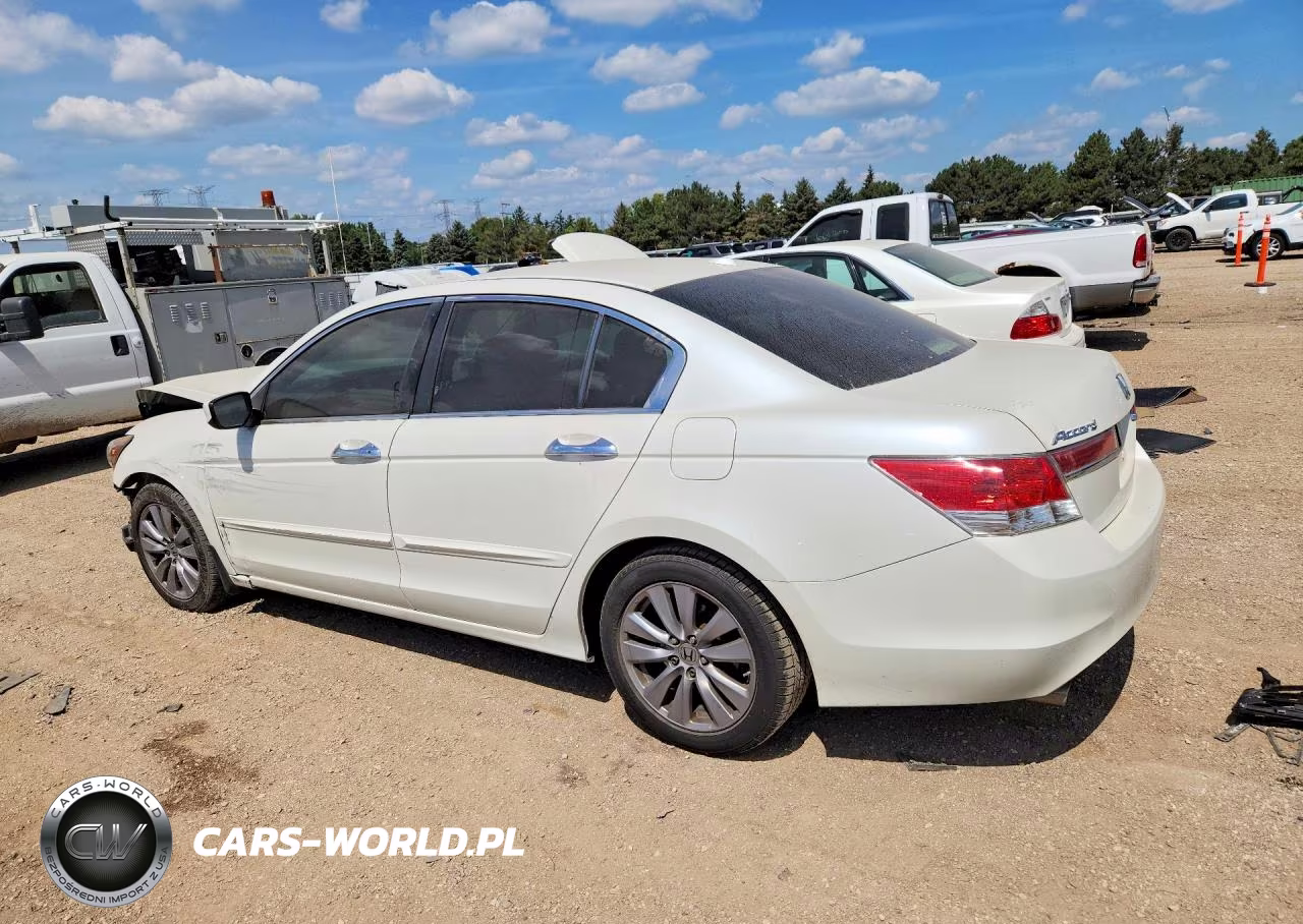 2011 Honda Accord Exl VIN:1HGCP3F8XBA011710 - 2