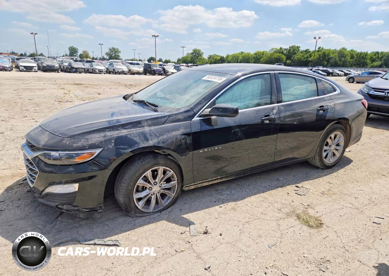 2019 Chevrolet Malibu Lt VIN:1G1ZD5ST5KF174476 - 1