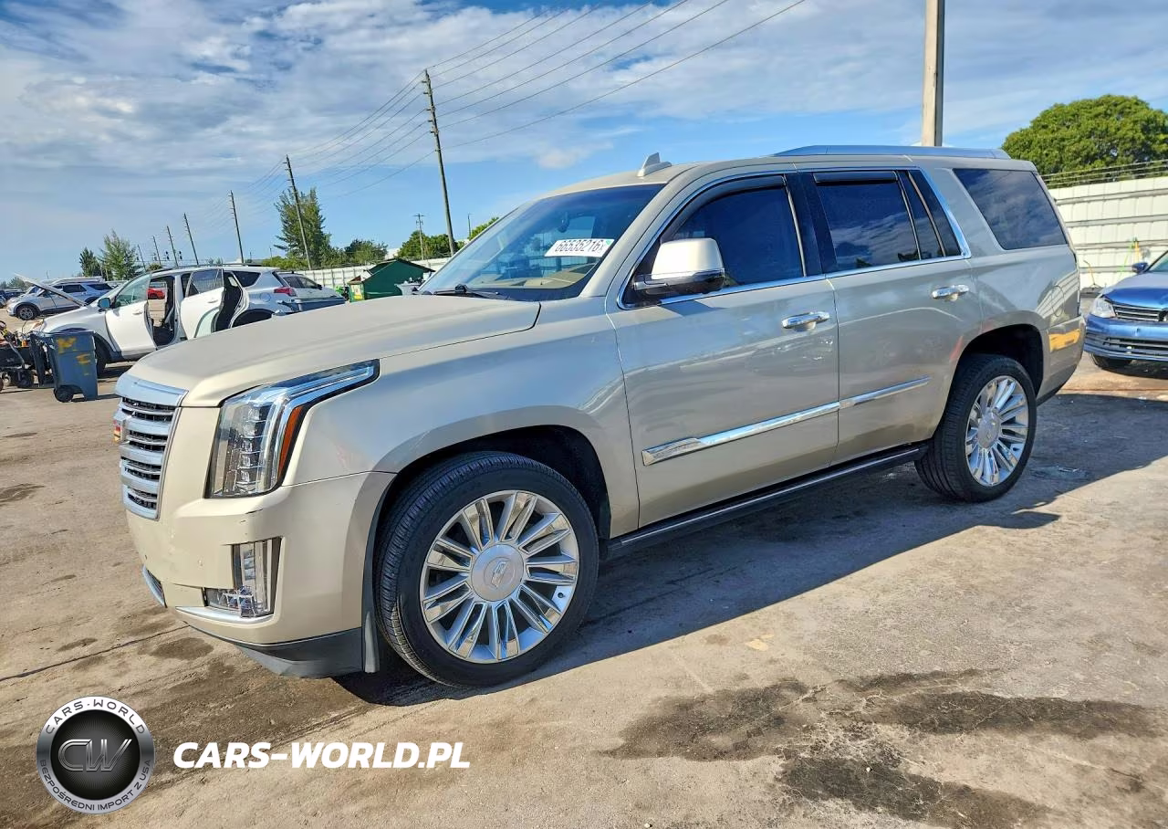 2016 Cadillac Escalade Platinum VIN:1GYS3DKJ6GR253689 - 1