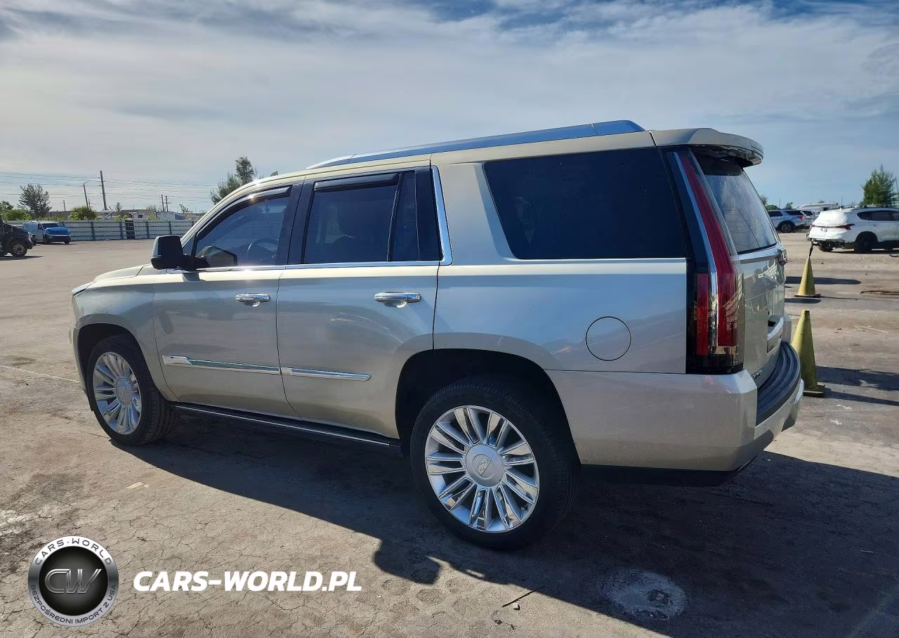 2016 Cadillac Escalade Platinum VIN:1GYS3DKJ6GR253689 - 2