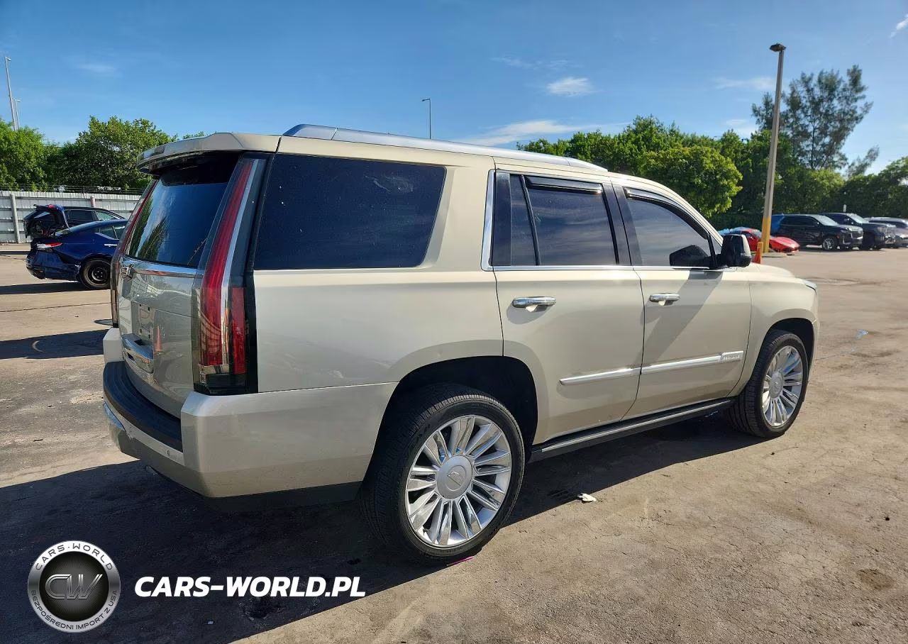 2016 Cadillac Escalade Platinum VIN:1GYS3DKJ6GR253689 - 3