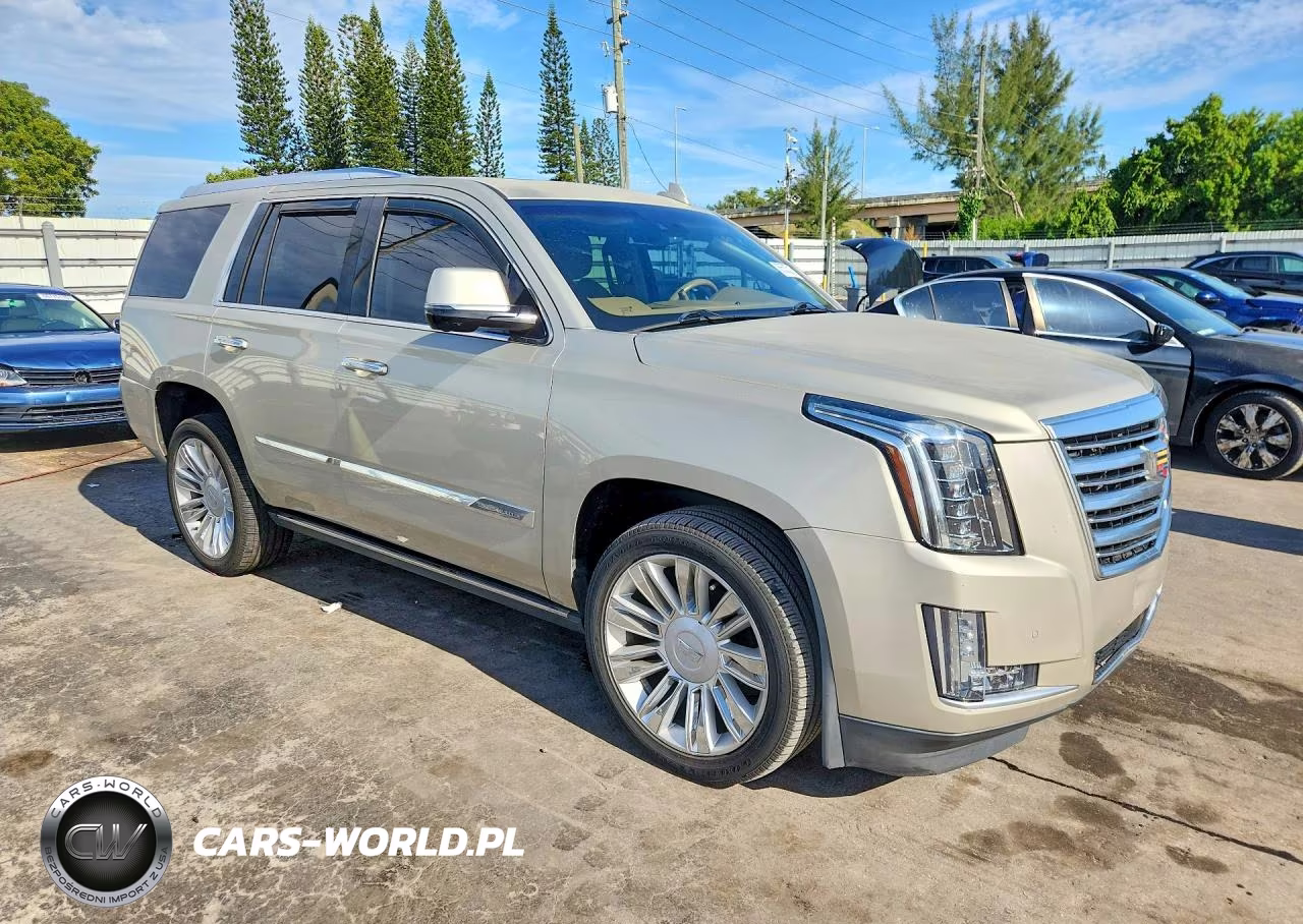 2016 Cadillac Escalade Platinum VIN:1GYS3DKJ6GR253689 - 4