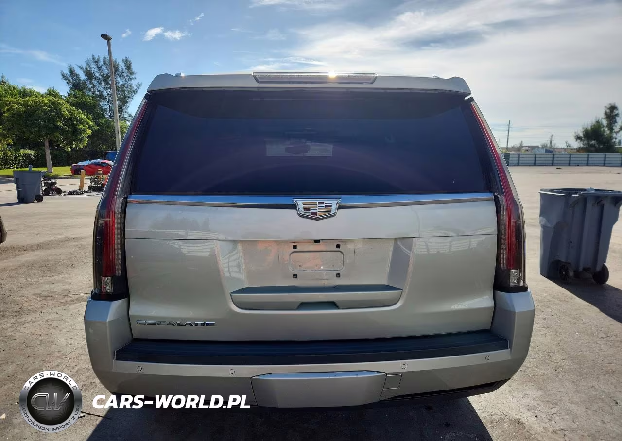 2016 Cadillac Escalade Platinum VIN:1GYS3DKJ6GR253689 - 6