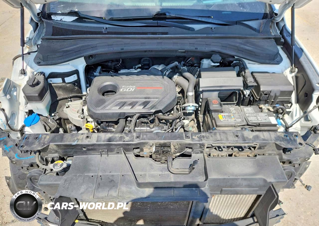 2020 Hyundai Santa Fe Limited 2.0T VIN:5NMS53AA9LH214766 - 12