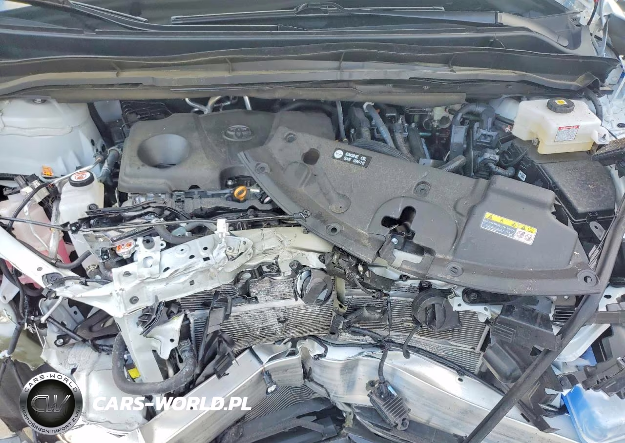 2025 Toyota Sienna Xle 8-Passenger VIN:5TDJRKEC2SS245908 - 12