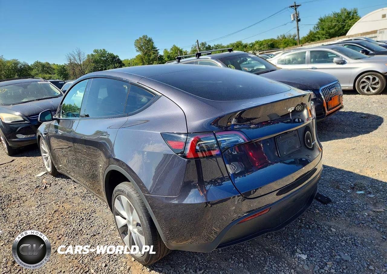 2024 Tesla Model Y VIN:7SAYGDEE0RF988358 - 2