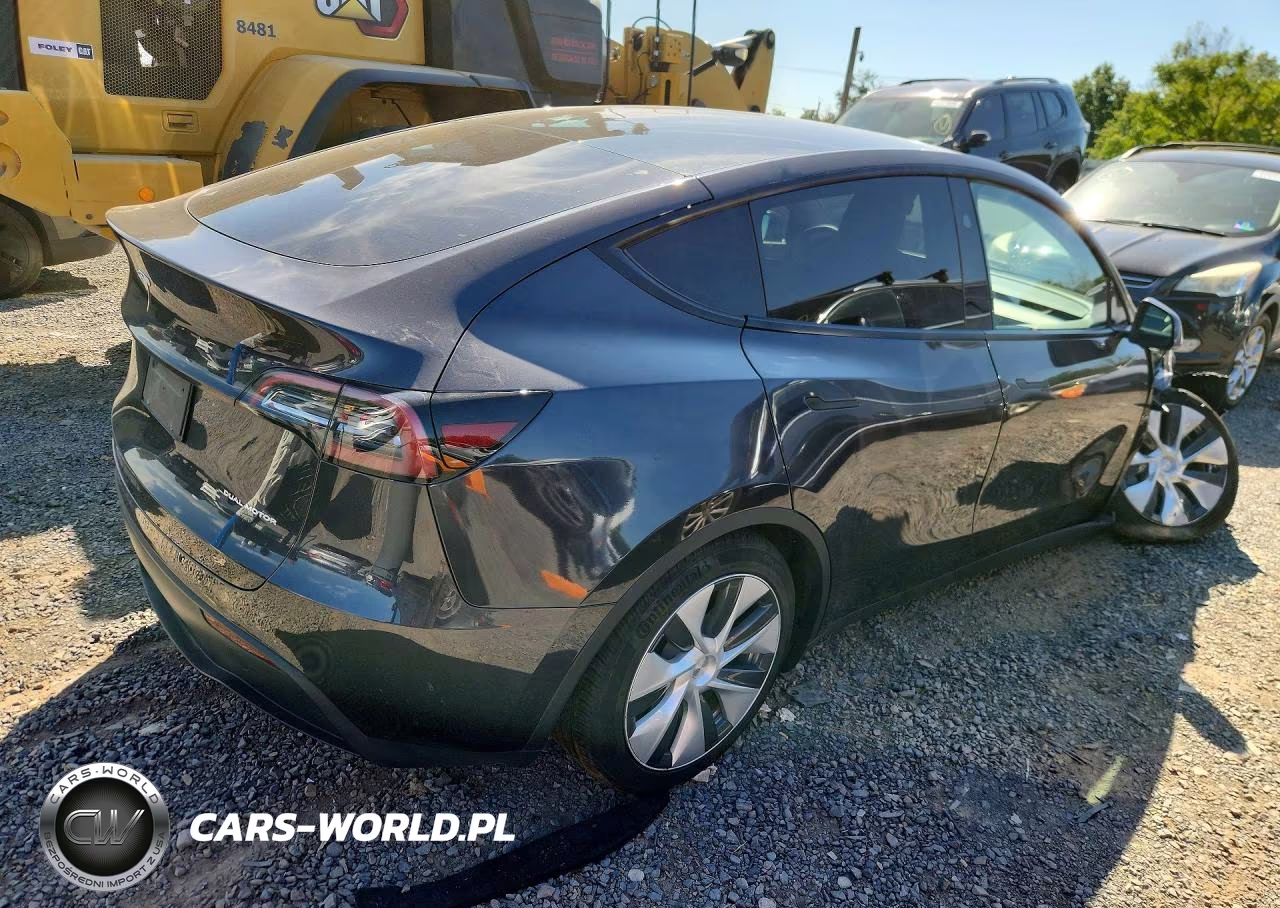 2024 Tesla Model Y VIN:7SAYGDEE0RF988358 - 3