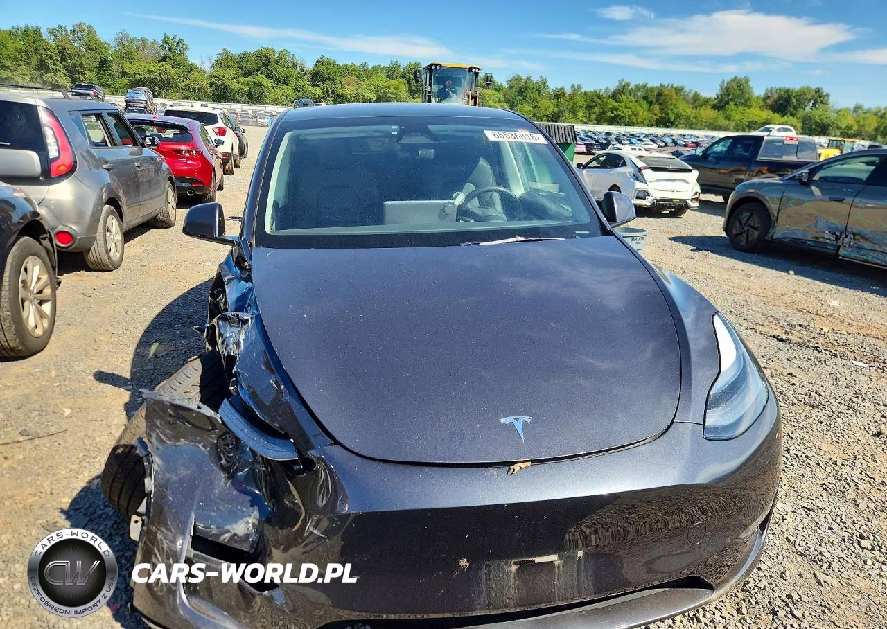 2024 Tesla Model Y VIN:7SAYGDEE0RF988358 - 5