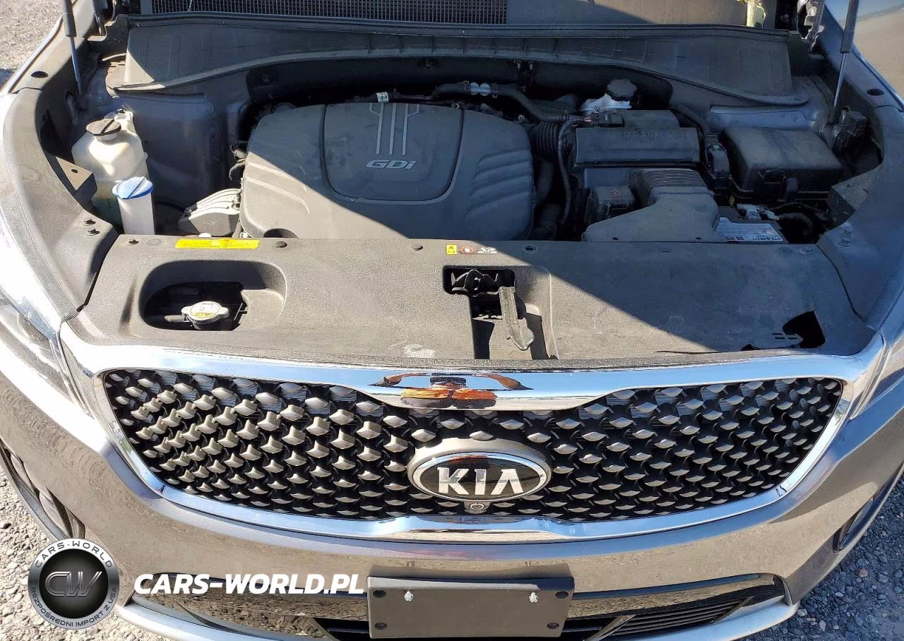 2018 Kia Sorento Sx Limited V6 VIN:5XYPKDA51JG387826 - 12