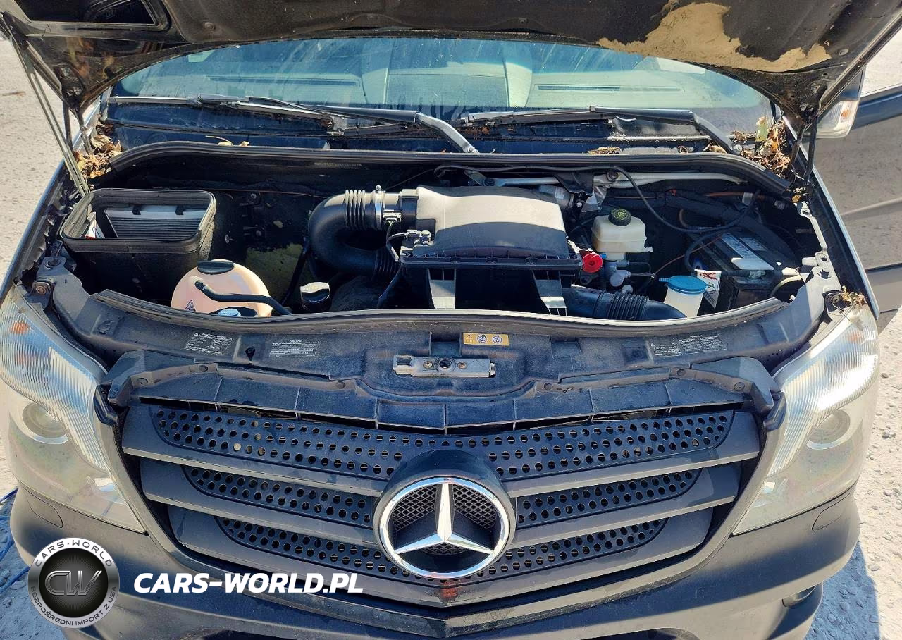 2017 Mercedes-Benz Sprinter 2500 Delivery Van VIN:WD4FE8CD0HP546962 - 12