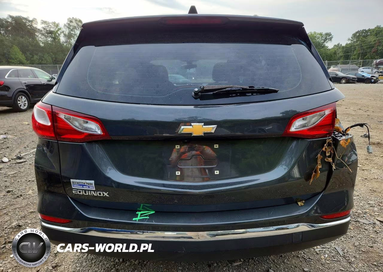 2018 Chevrolet Equinox Ls VIN:2GNAXHEV2J6177295 - 6