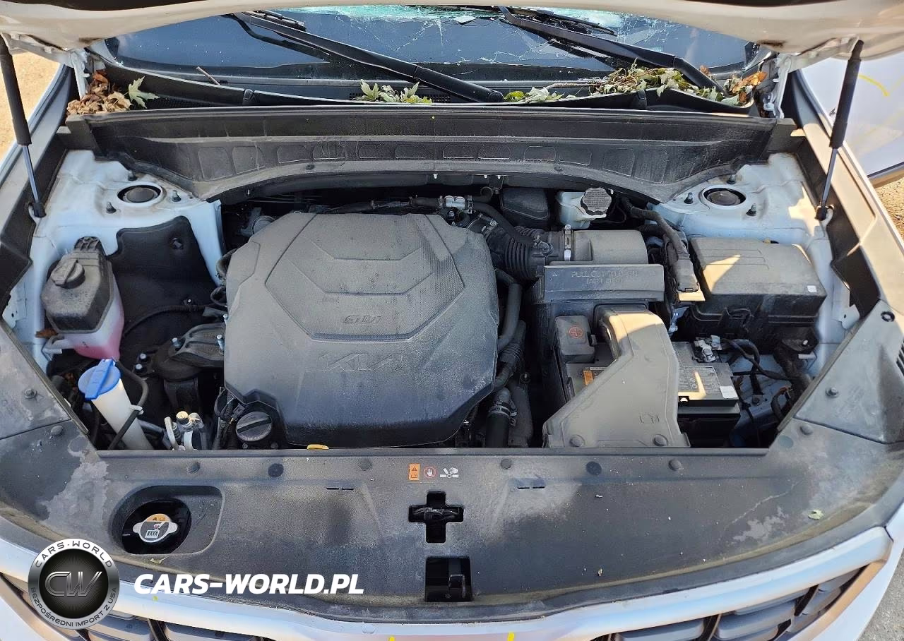 2023 Kia Telluride S VIN:5XYP6DGC0PG343352 - 12