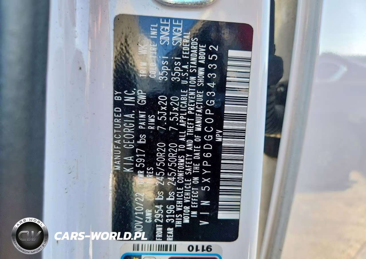2023 Kia Telluride S VIN:5XYP6DGC0PG343352 - 13