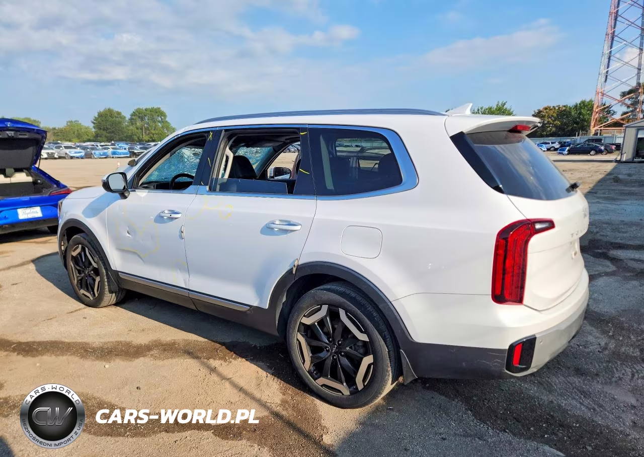 2023 Kia Telluride S VIN:5XYP6DGC0PG343352 - 2