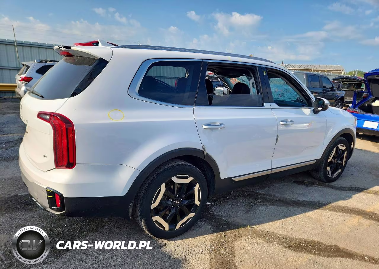 2023 Kia Telluride S VIN:5XYP6DGC0PG343352 - 3