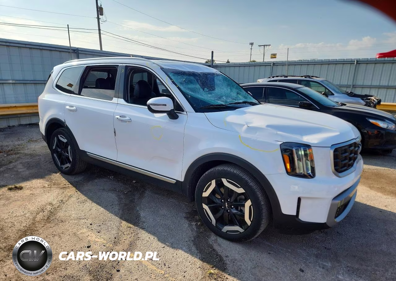 2023 Kia Telluride S VIN:5XYP6DGC0PG343352 - 4