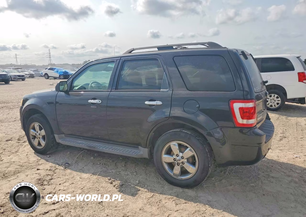 2011 Ford Escape Xlt VIN:1FMCU0D75BKA61842 - 2