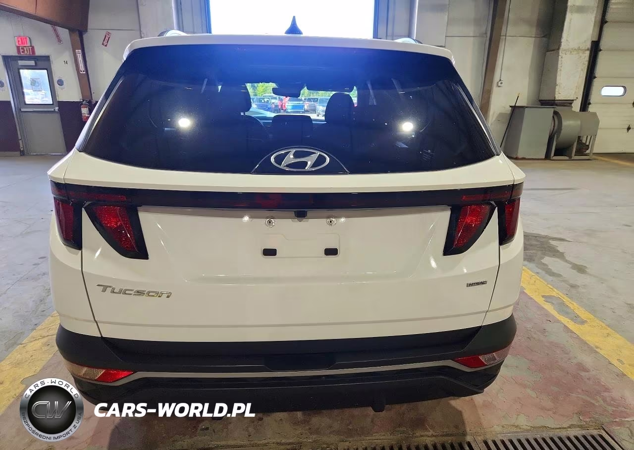 2024 Hyundai Tucson Sel VIN:5NMJBCDE9RH410332 - 6