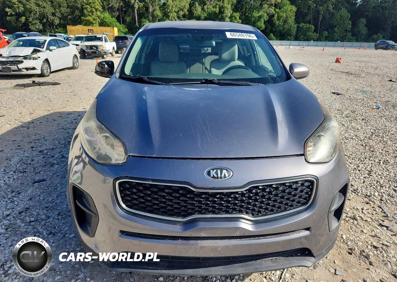 2017 Kia Sportage Lx VIN:KNDPM3ACXH7142579 - 5